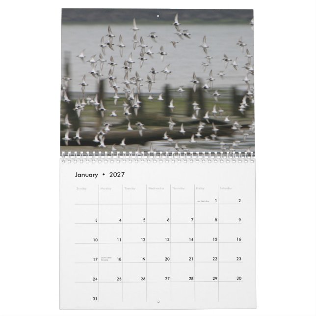 Westport vinkar - 2013 surfa kalender (Jan 2027)