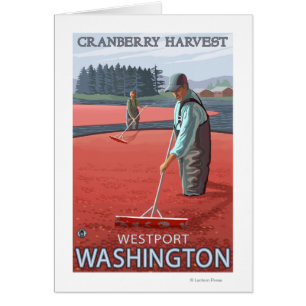 Westport, WashingtonCranberry Bog Harvest Hälsningskort