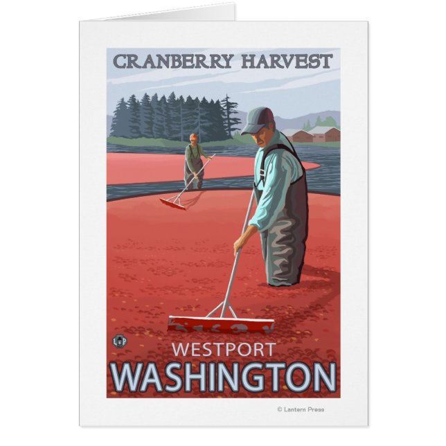Westport, WashingtonCranberry Bog Harvest Hälsningskort (Framsidan)