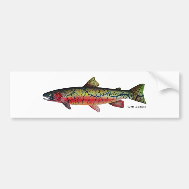 Westslope Cutmynning Trout; Bumper Sticker Bildekal (Framsidan)