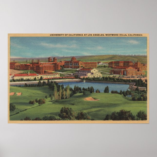 Westwood Backe, CA - View of U.C.L.A. Campus Poster (Framsidan)