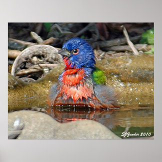 Wet Paint Print Poster