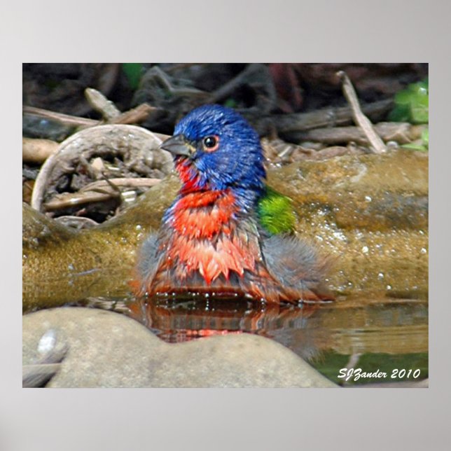 Wet Paint Print Poster (Framsidan)