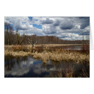 Wetland Cloudscape Hälsningskort