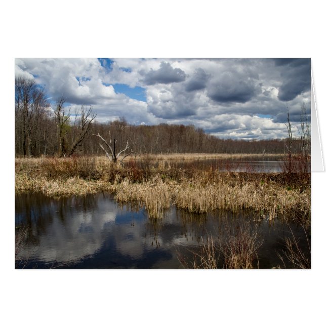 Wetland Cloudscape Hälsningskort (Framsidan Horizontal)