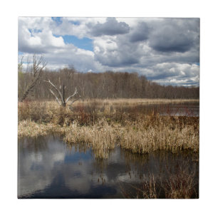Wetland Cloudscape Kakelplatta