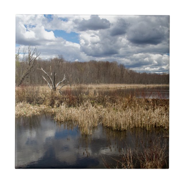 Wetland Cloudscape Kakelplatta (Framsidan)