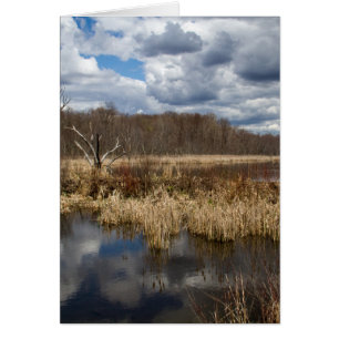 Wetland Cloudscape Lodrät Hälsningskort
