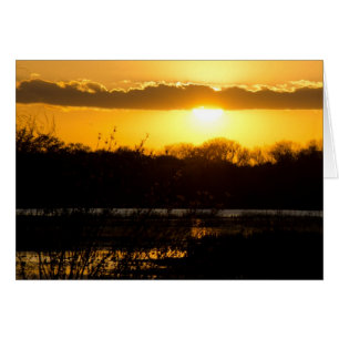 Wetland Guld Hälsningskort