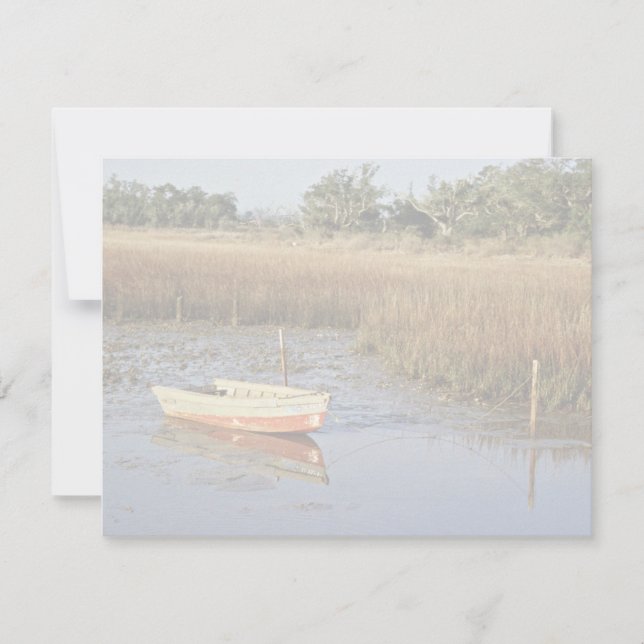 Wetland Myrtle Beach (Framsida)