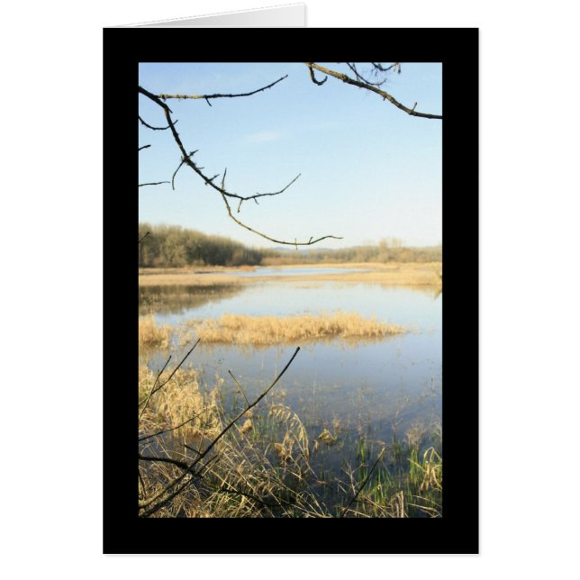 Wetland Wonderland Hälsningskort (Framsidan)