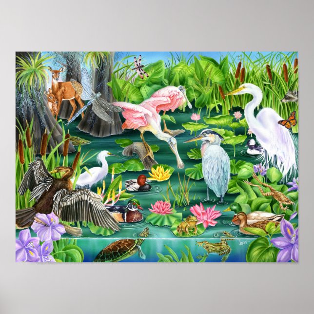 Wetland Wonders Poster (Framsidan)