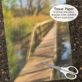 Wetlands Boardgångscene Tidigt Fall