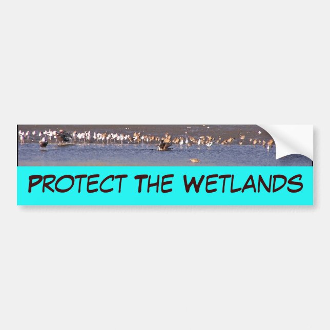 Wetlands Bumper Sticker Bildekal (Framsidan)