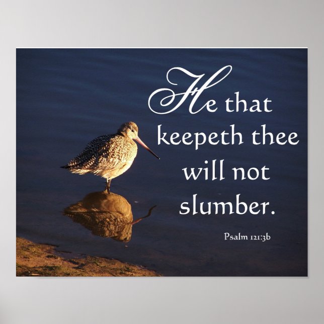 Wetlands Godwit Bird God Behålla du skriver ut Poster (Framsidan)