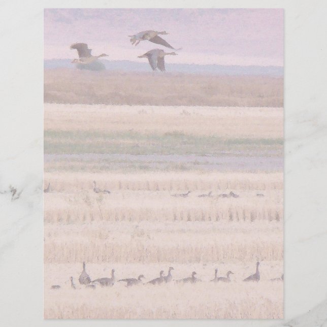 Wetlands Migration Letterhead (Framsida)