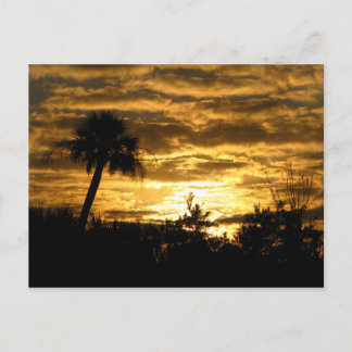 Wetlands Morgon II Vykort