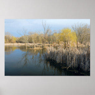Wetlands Reeds och Träd i Väster Saint Paul Poster