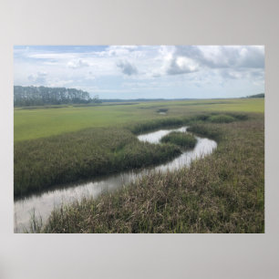 Wetlands Tolomato River Nature Fotography Poster