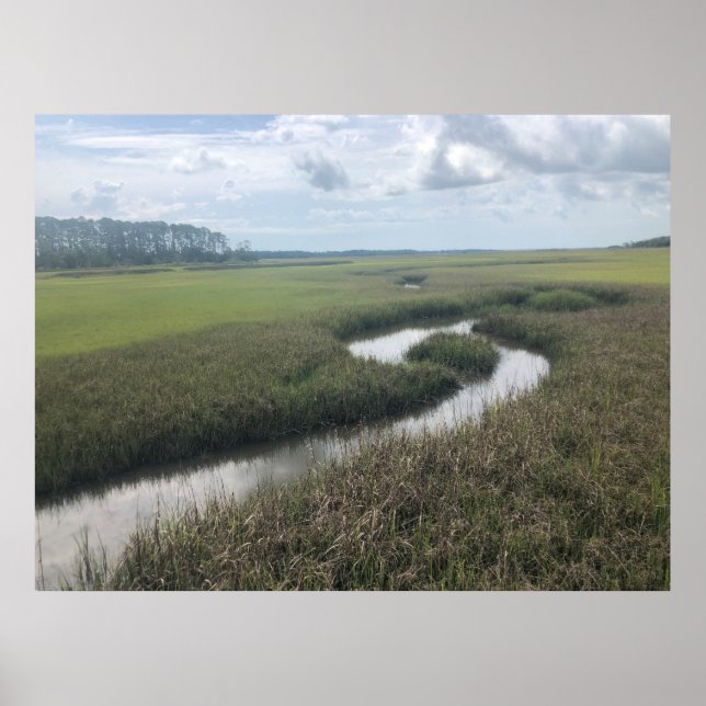 Wetlands Tolomato River Nature Fotography Poster (Framsidan)