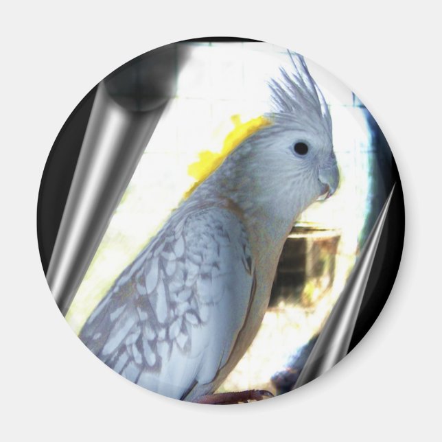 WF-tidslinjemagneter Magnet (Framsidan)