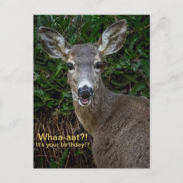 Whaa-aat?! Det är din födelsedag!? Postkort Vykort