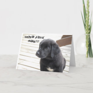 whachunågot att säga?!? kort