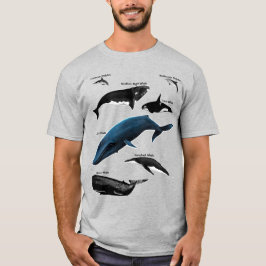 WHALE DAYS T SHIRT