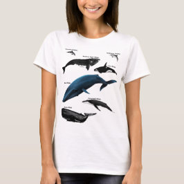 WHALE DAYS T SHIRT