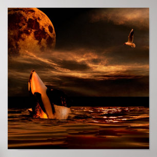 WHALE MÅNE POSTER