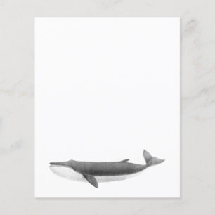 WHALE PAPPRARE LAKAN