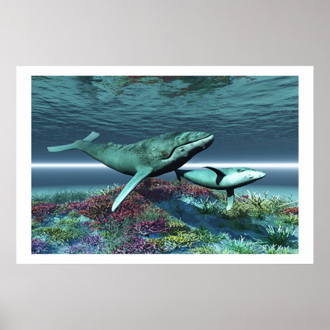 WHALE SÅNG PRINT POSTER (Framsidan)