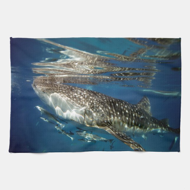 Whale shark Oslob Filippinerna Kökshandduk (Horisontell)