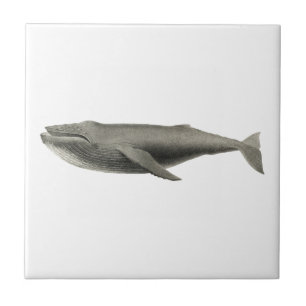 "WHALE"-SJÖLIVET CERAMIC TILE KAKELPLATTA