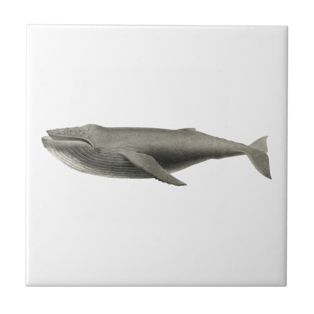 "WHALE"-SJÖLIVET CERAMIC TILE KAKELPLATTA (Framsidan)