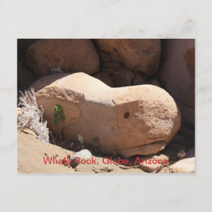 Whale Sten, Globe, Arizona Vykort