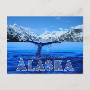 Whale Svan Alaska - vykort