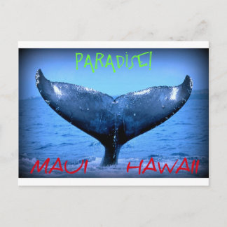 WHALE SVAN MAUI PARADISE HAWAII VYKORT