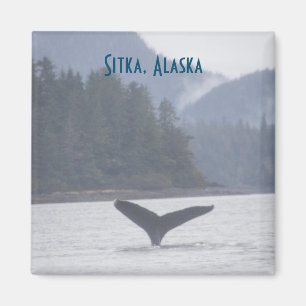 Whale Svan Sitka Alaska Magnet