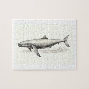 Whale teckning pussel