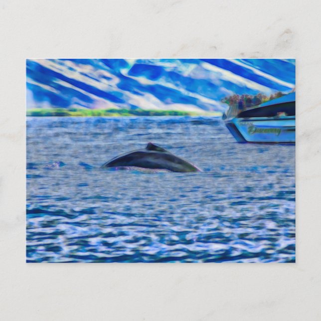 Whale Watching i Hawaii utanför Maui Vykort (Framsida)