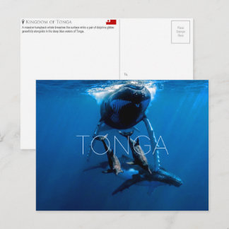 Whale watching, Tonga Travel Postcard Vykort