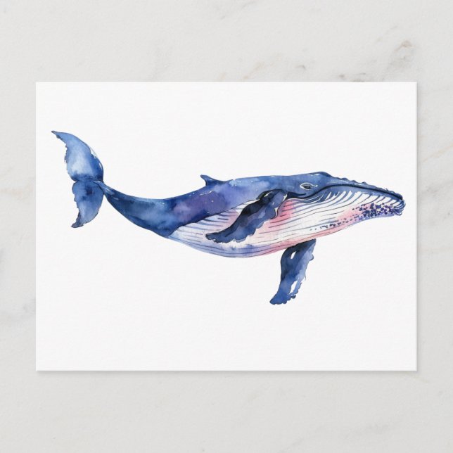 Whale Watercolor Vykort (Framsida)