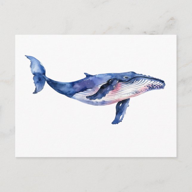 Whale Watercolor Vykort (Framsida)