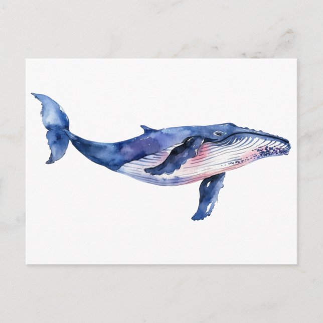 Whale Watercolor   Vykort (Framsida)