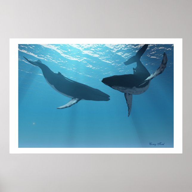 WHALE WONDERS PRINT POSTER (Framsidan)