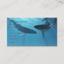 Whale Wonders Visitkort