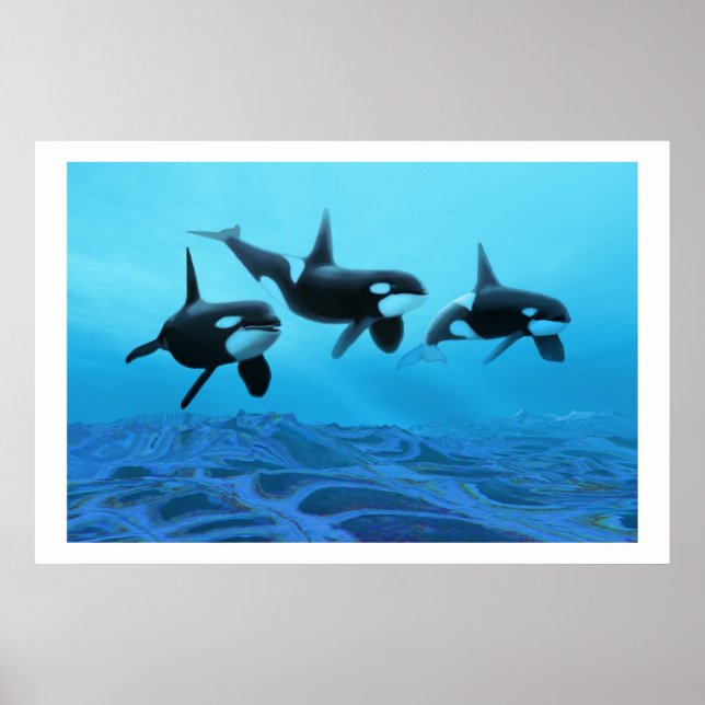 WHALE WORLD PRINT POSTER (Framsidan)