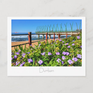 Whalebone Pier Umhlanga Durban SA Postcard Vykort