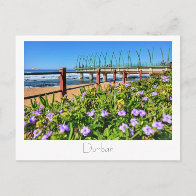 Whalebone Pier Umhlanga Durban SA Postcard Vykort (Framsida)